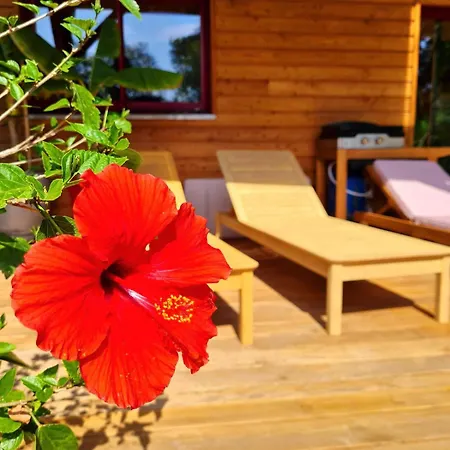 Eco-lodge Sur Pilotis - Piscine, Velo, Plancha - Entre Bayonne Et Hossegor Saint-Laurent-de-Gosse