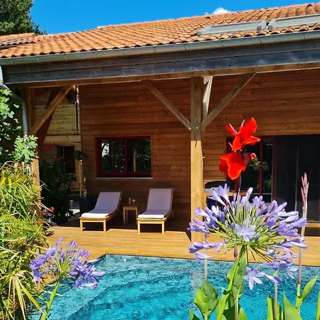 Eco-lodge Sur Pilotis - Piscine, Velo, Plancha - Entre Bayonne Et Hossegor