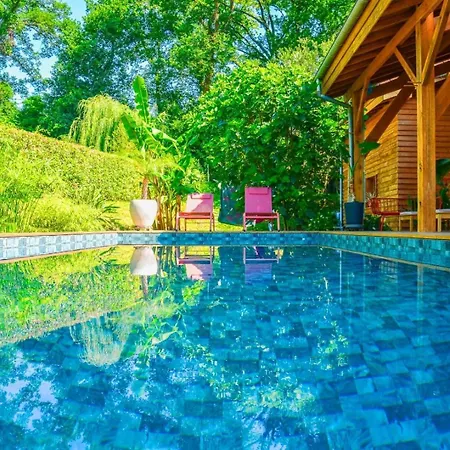 Ferienhaus Eco-lodge Sur Pilotis - Piscine, Velo, Plancha - Entre Bayonne Et Hossegor Saint-Laurent-de-Gosse