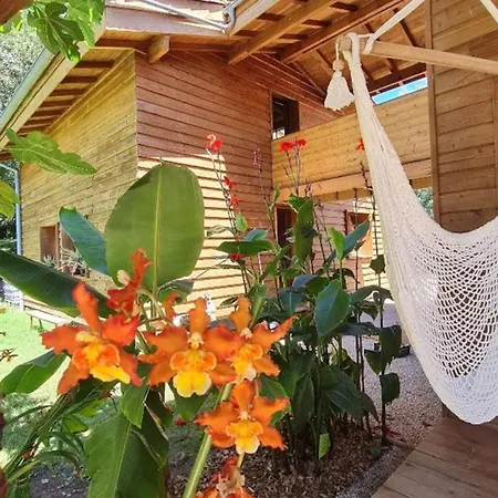Vakantiehuis Eco-lodge Sur Pilotis - Piscine, Velo, Plancha - Entre Bayonne Et Hossegor